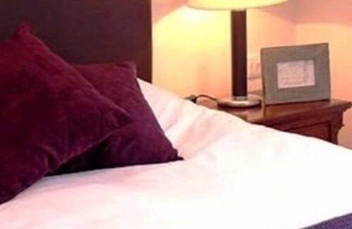 Hanley Swan Hotel | The Swan Inn