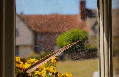 Monks Eleigh Hotel | The Swan monks eleigh