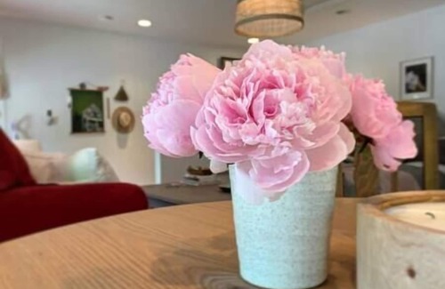 Okotoks Apartment | The sweetest suite in Okotoks.