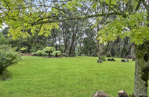 Mount Wilson Cottage | THE TEACHERS COTTAGE- SPECIALS ON NOW !