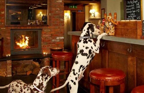 Edington Bed & Breakfast | The Three Daggers