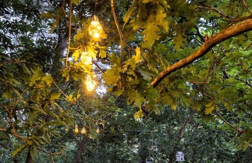 Albergaria-a-Velha House | The Tree House Alameda