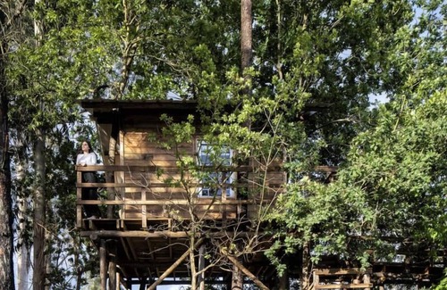 Albergaria-a-Velha House | The Tree House Alameda