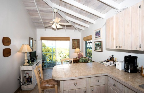 Great Exuma Cottage | The Tree House - a Cozy Peaceful Nest for Your Exuma Adventure