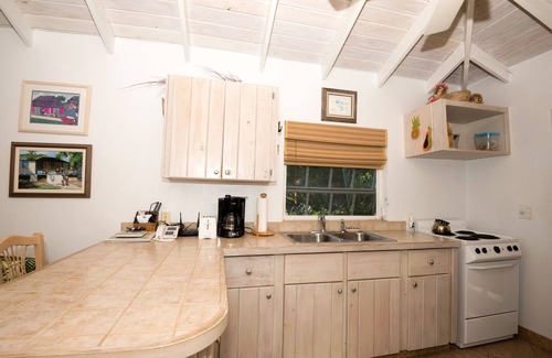 Great Exuma Cottage | The Tree House - a Cozy Peaceful Nest for Your Exuma Adventure