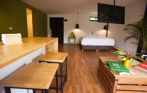 Envigado Apartment | The TREE house