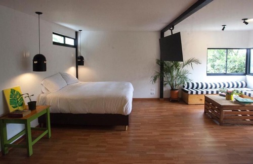 Envigado Apartment | The TREE house