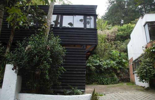 Envigado Apartment | The TREE house