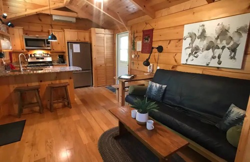 Jamestown Cabin | The Treehouse - TN Honeymoon Cabin - HOT TUB - in BSF!