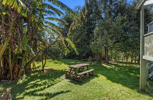 Waihau Bay House | The Treehouse- Whanarua Bay