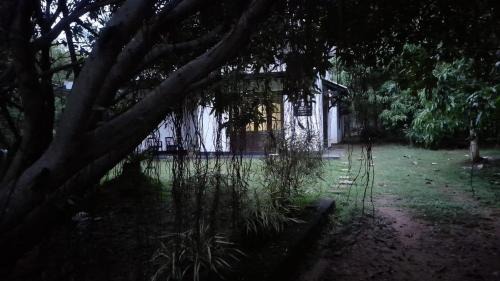 Dambulla House | The Trees Dambulla