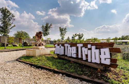 Branesti House | The Tribe Alpaca Retreat