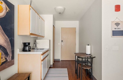 Paradise Apartment | The Trinity | Studio in Paradise