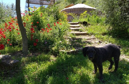 Setenil de las Bodegas RV Rental | The ultimate in green accommodation