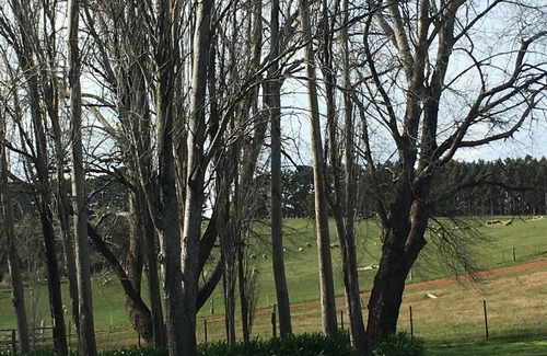 Merino House | The ultimate farm retreat- reset and unwind!