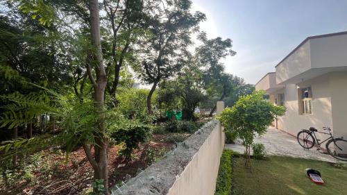 Udyog Vihar House | The Urban Oasis