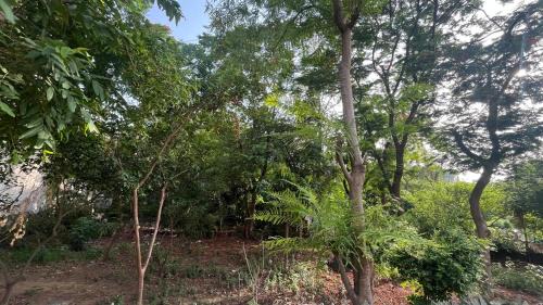 Udyog Vihar House | The Urban Oasis