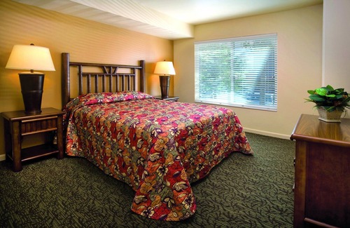 Wolf Creek Resort | The vacation of a lifetime!