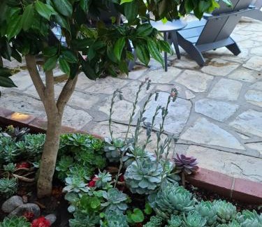 Northwest Carmel Bed & Breakfast | The Vagabond's House Boutique Inn