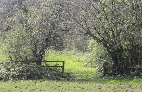 Amroth Ski Chalet | The Valley Static Caravan