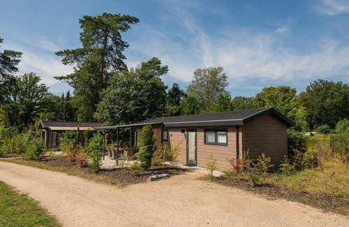 Lieren House | The Veluwe Lodge offers luxury and space for 5 guests with modern amenities in a serene, green setting.