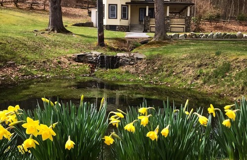 Millrift House | The Victorian at Bluestone Falls