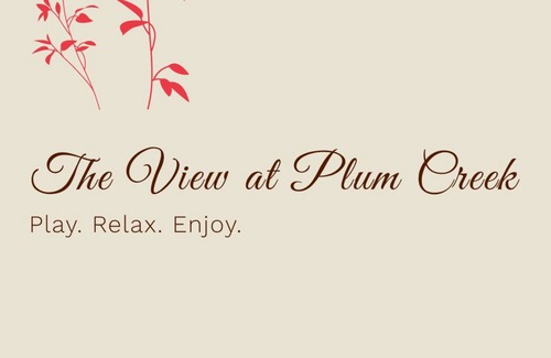 Dripping Springs House | The View at Plum Creek