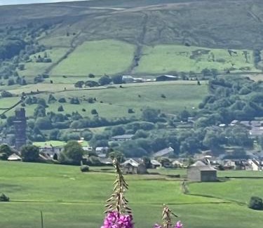 Belthorn House | The View