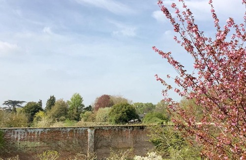 Bury St Edmunds House | The View