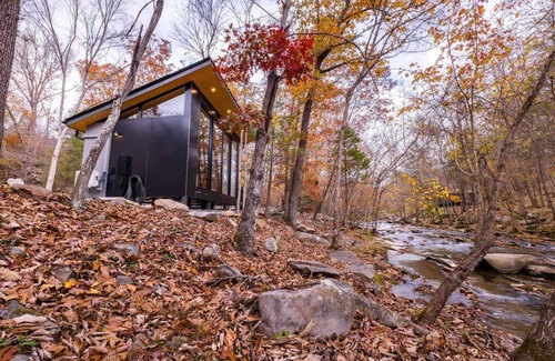 Peterstown Cabin | The View Glass Cabin at Four Fillies Lodge