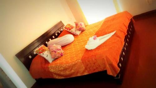 Ajmer House | The Villa