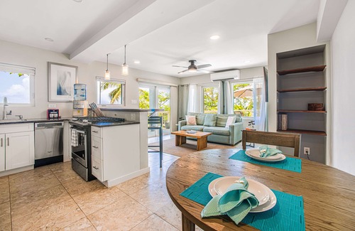 Estate Caret Bay Villa | The Villa Michelle Luxury Heated Pool Generator