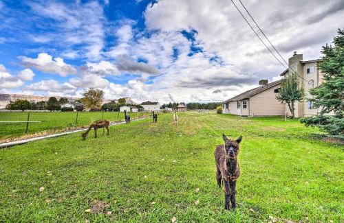 Fruitvale House | The Vineyard Country Farm Home at Grand Valley