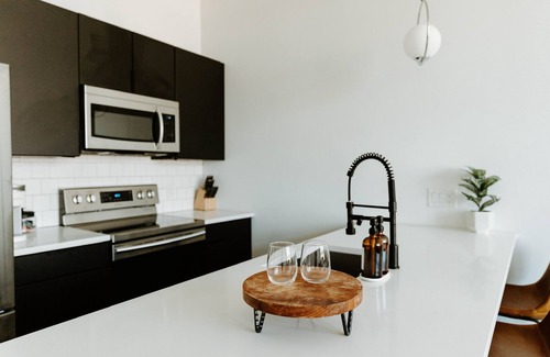 Spring Garden Apartment | The Walton- Luxury apt with parking and roof deck in Fairmount