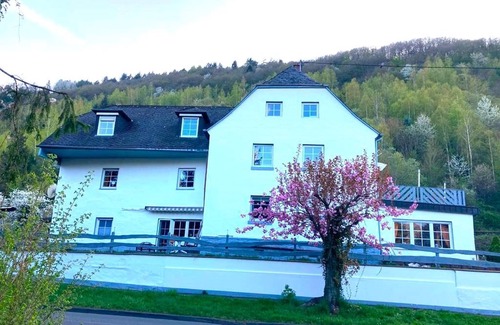 Krov Apartment | The Way - Guesthouse Natural Mosel