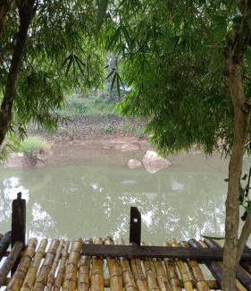 Kunchithanny House | The wayside cottage Munnar