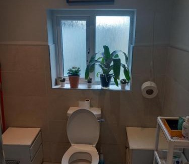 Nevinstown West House | The wee airport cottage
