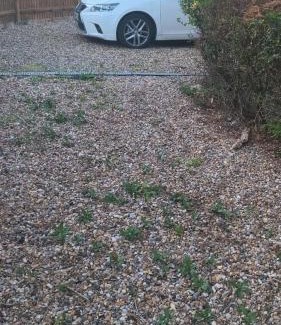 St Michaels House | The welcoming home