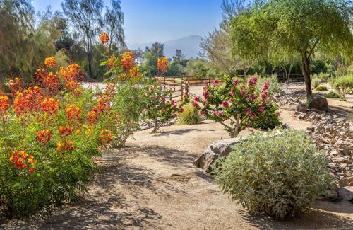 Palm Desert Hotel | The Westin Desert Willow Villas, Palm Desert