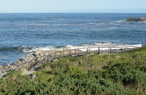 Kleinmond Apartment | The Whale and Waddler - Unit with a view