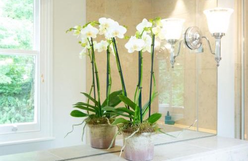 Sutton Hotel | The White Horse Inn