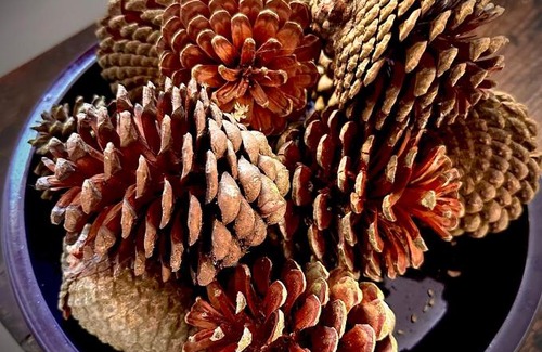 Zennor Hotel | The White House at The Tinners Arms