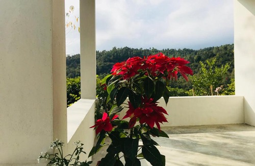 Nurpur House | The Wild Wild