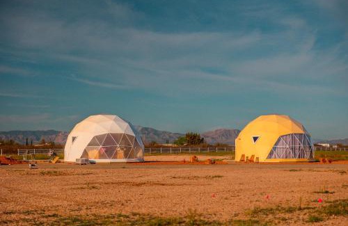 Willcox Other | The Wine Dome