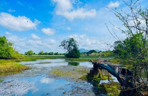 Palugaswewa Resort | The Wish Lake Resort