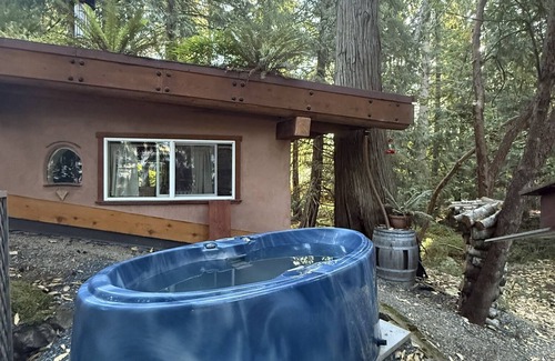 Shawnigan Lake Apartment | The Wobbly Hobbit- a unique earthen cabin in the woods.