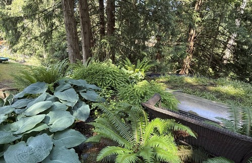 Shawnigan Lake Apartment | The Wobbly Hobbit- a unique cob studio in the forest.