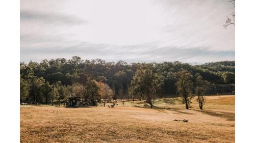 Wollombi House | The Wollombi Wanderer by Tiny Away