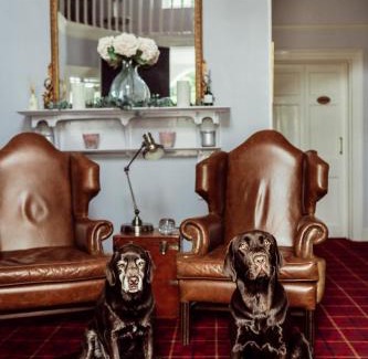 Sidmouth Hotel | The Woodlands Hotel