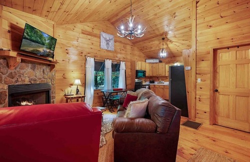 Ellijay Cabin | The Woods At Whitetail Ridge- 2 fireplaces-